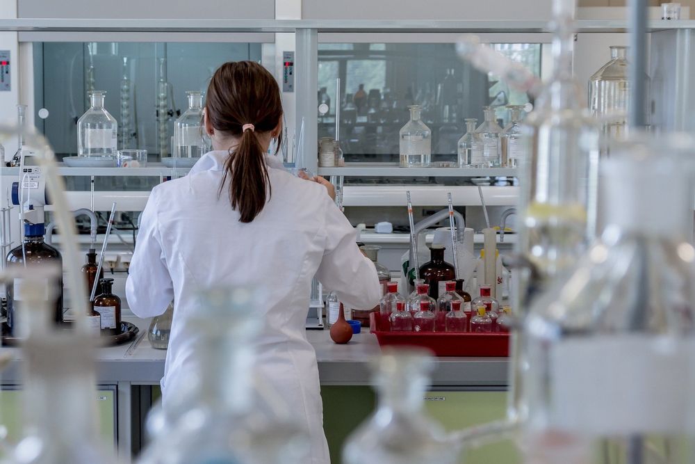 From fabricated research to paid authorships and citations, organized scientific fraud is on the rise, according to a new Northwestern University study.