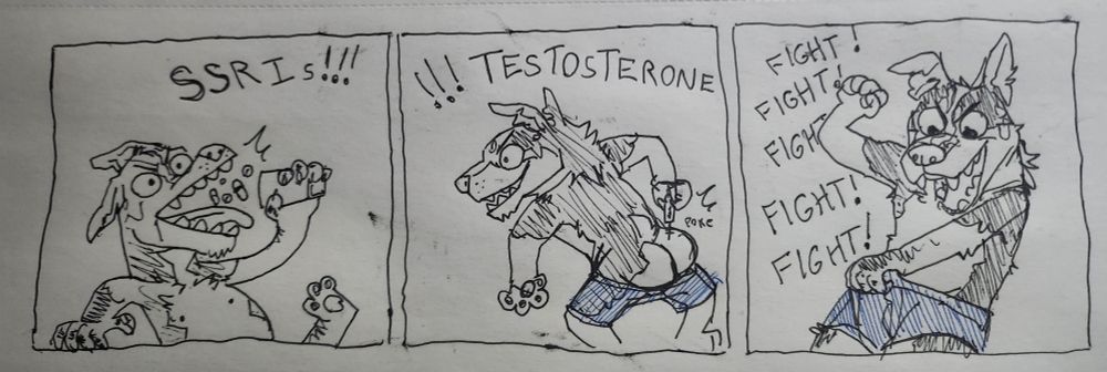 1st panel: a dog person swallowing a bunch of pills "SSRIs"

2nd panel: the same dog person injecting T into their bottom "TESTOSTERONE"

3rd panel: same dog person looking down their pants and yelling "FIGHT FIGHT FIGHT FIGHT"