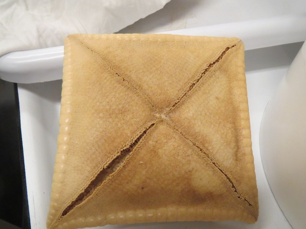 Oral surface of a sea star with only 4 arms rather than 5- Square like rather than star shaped