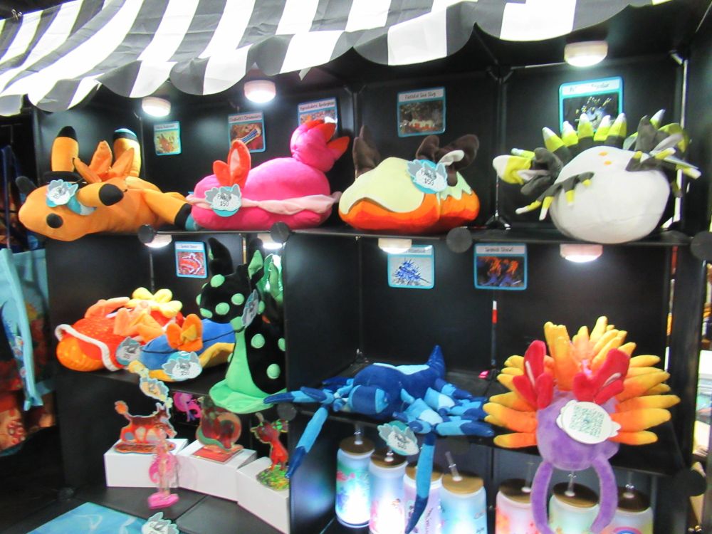 multiple plush toy nudibranchs on a shelf