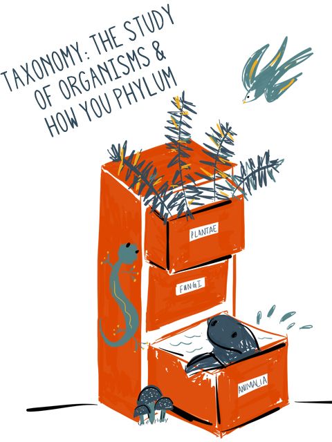 pun with file cabinet showing different organisms "filed" 