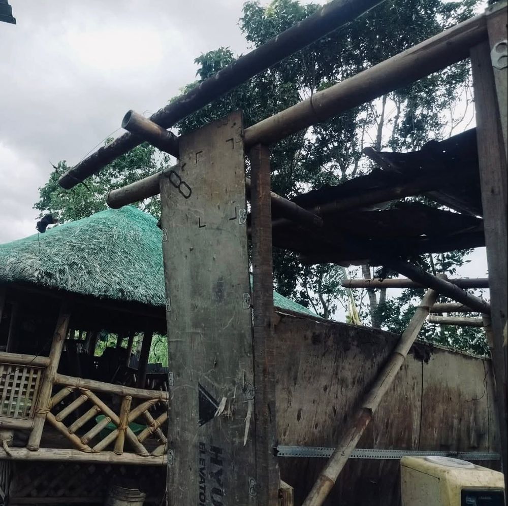 Pictures of the typhoon-wrecked animal shelter. This one shows the roofless structures.