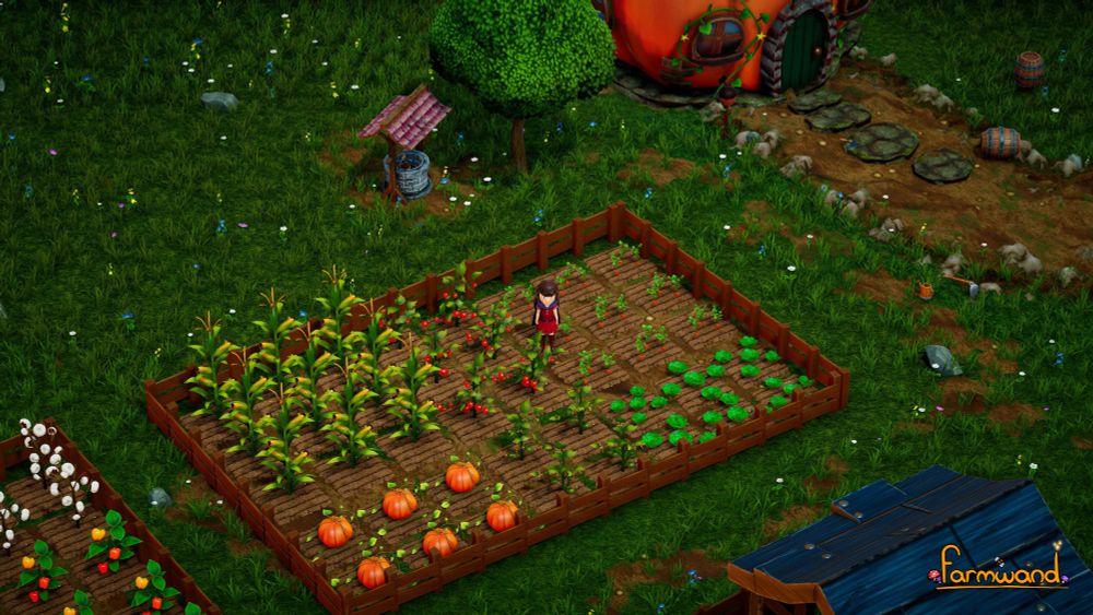 A girl standing in a farm full of beautiful crops