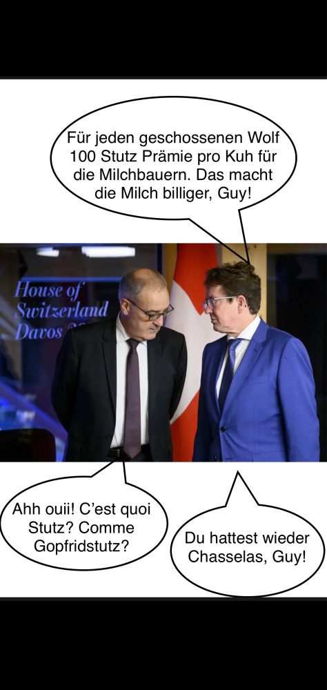 Rösti im Gespräch mit Parmesan