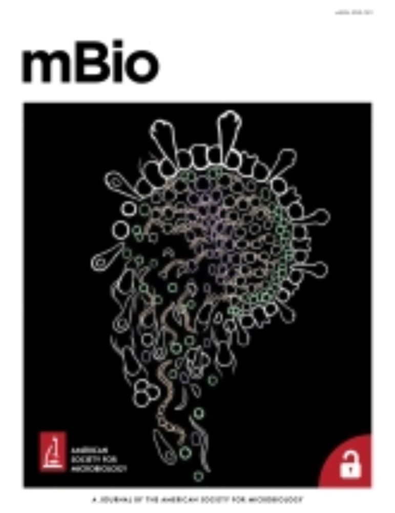 Genomic characterization of the bacterial phylum Candidatus Effluviviacota, a cosmopolitan member of the global seep microbiome | mBio