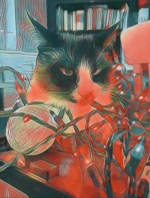 Cranky cat with Christmas lights and ornament. Art by AmyCats