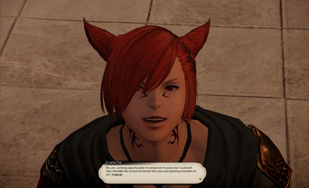 G'raha Tia, looking up at the viewer. "My, um... carrying capacity pales in comparison to yours, but I could still help. Shoulder the occasional satchel from your ever-growing mountain of, um... baggage."