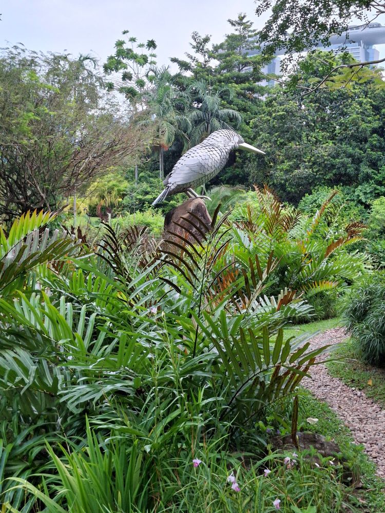 Silver metallic long fine beak amongst a field of ferns and bushes in the background 