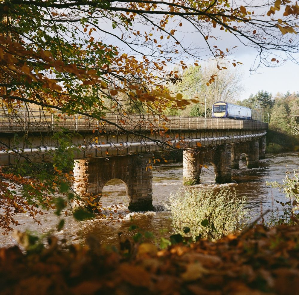 Colour photo of a train passing over the rail bridge at Moncrieffe Island at the River Tay in Perth. In the foreground are out of focus fallen autumn leaves. At the top of the photo are small leaves still hanging on a branch.