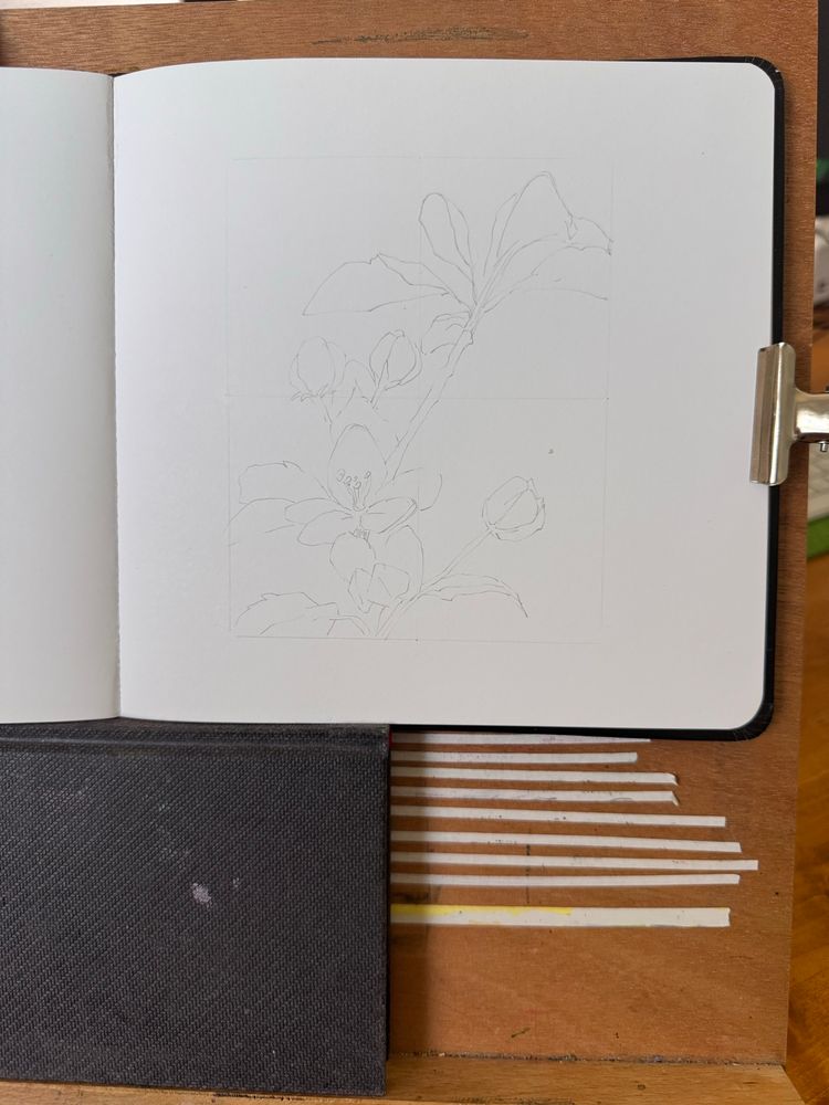Pencil sketch