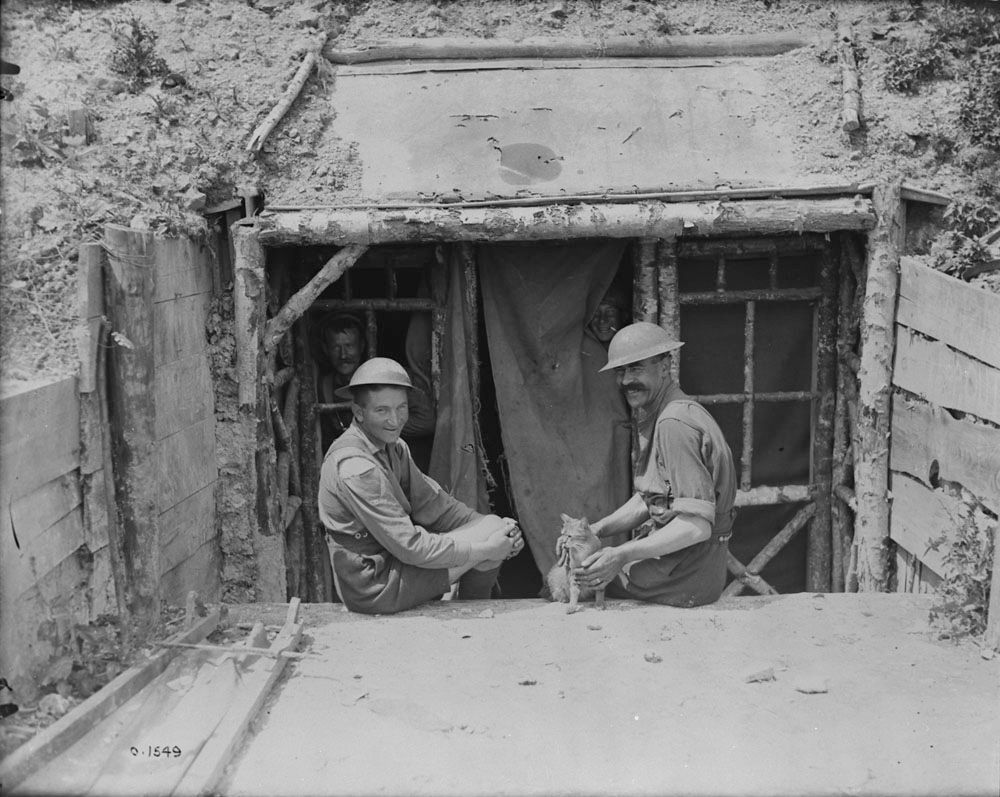 Canada. Dept. of National Defence/Library and Archives Canada/ a001468-v8