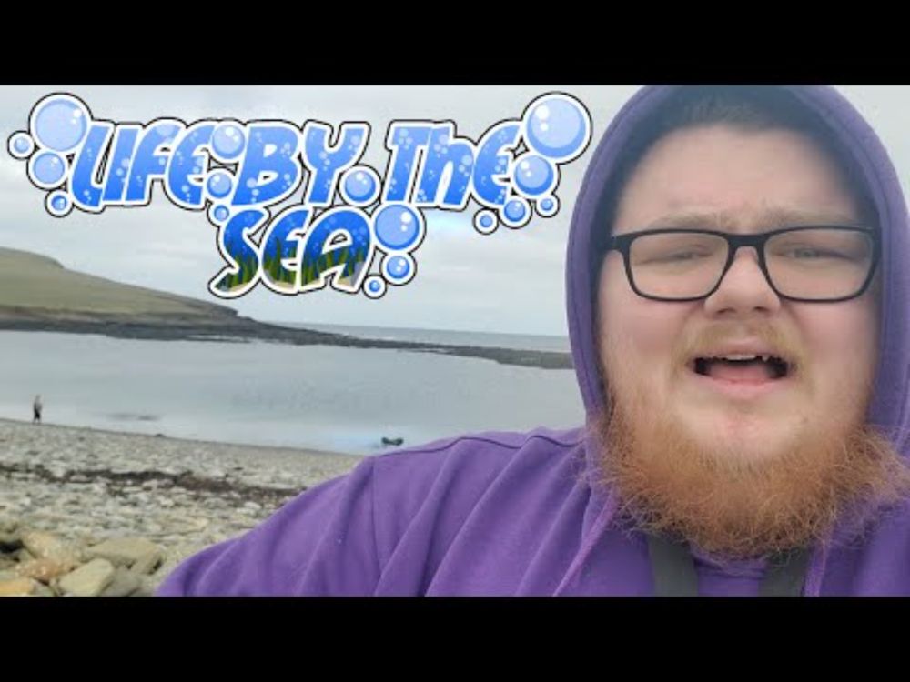 Living Life by the Sea! 🌊