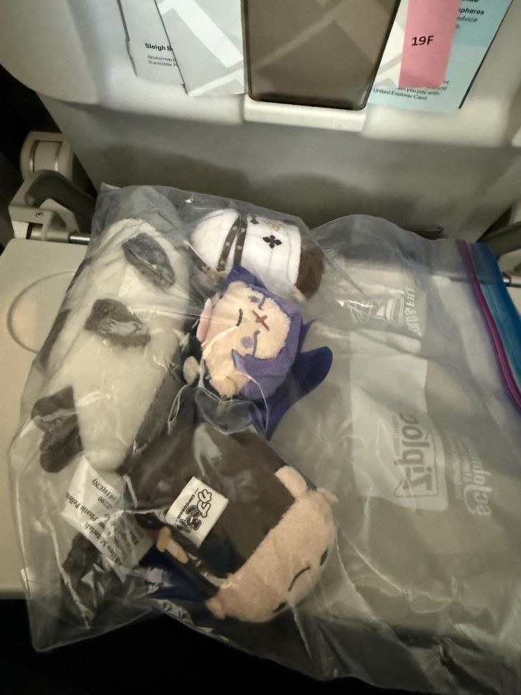 The traveling fish and kazuma, barok, ryuu bean in a plastic bag on plane tray 

Barok is facing the ceiling while ryuu is upside down