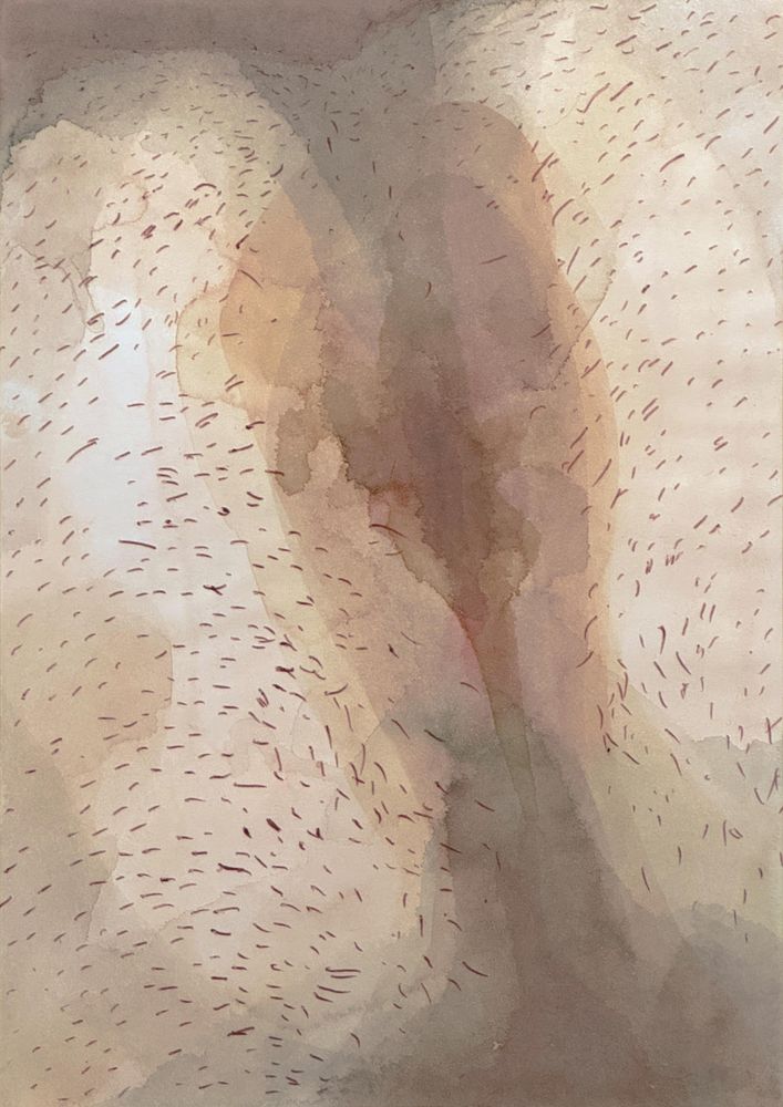 Ex Manus from 27/01/19 22:39
27.7 x 36.5 x 4.16 cm
watercolour and biro pen on 190g paper
2024