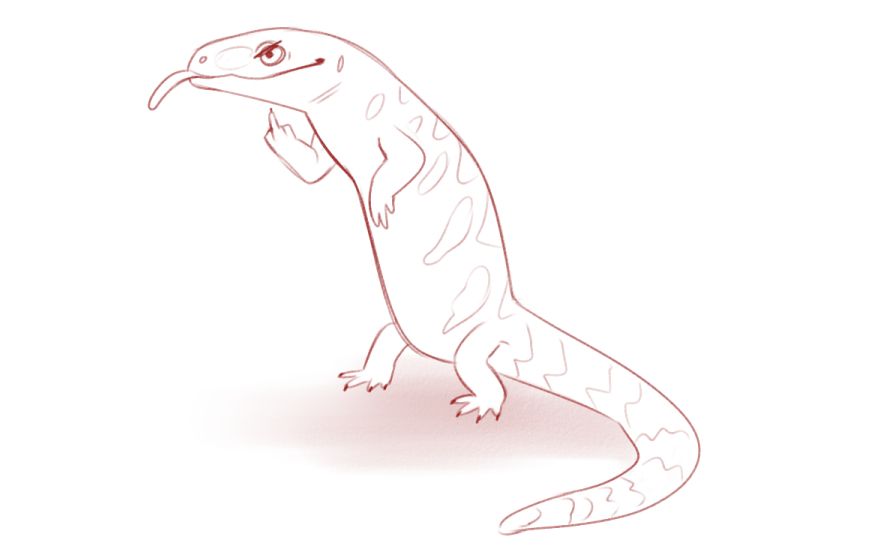 sketch of a skink giving the finger... he is very rude 