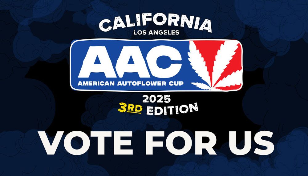 Vote for us at the American Autoflower Cup!