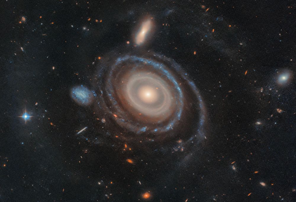 Ring Galaxies are already rare (~1 in 10,000). But before this image was captured, we never had yet seen a galaxy with more than 3 rings. This recent image of Galaxy LEDA 1313424 (~2.5 times the mass of the Milky Way and dubbed the 'Bullseye Galaxy') shows 9 or maybe 10 rings. The dynamics of a collision with the smaller blue galaxy to is what is theorized to have formed and/or enhanced its ring structure.

(Image Credit: NASA, ESA, Imad Pasha [Yale], and Pieter van Dokkum [Yale])