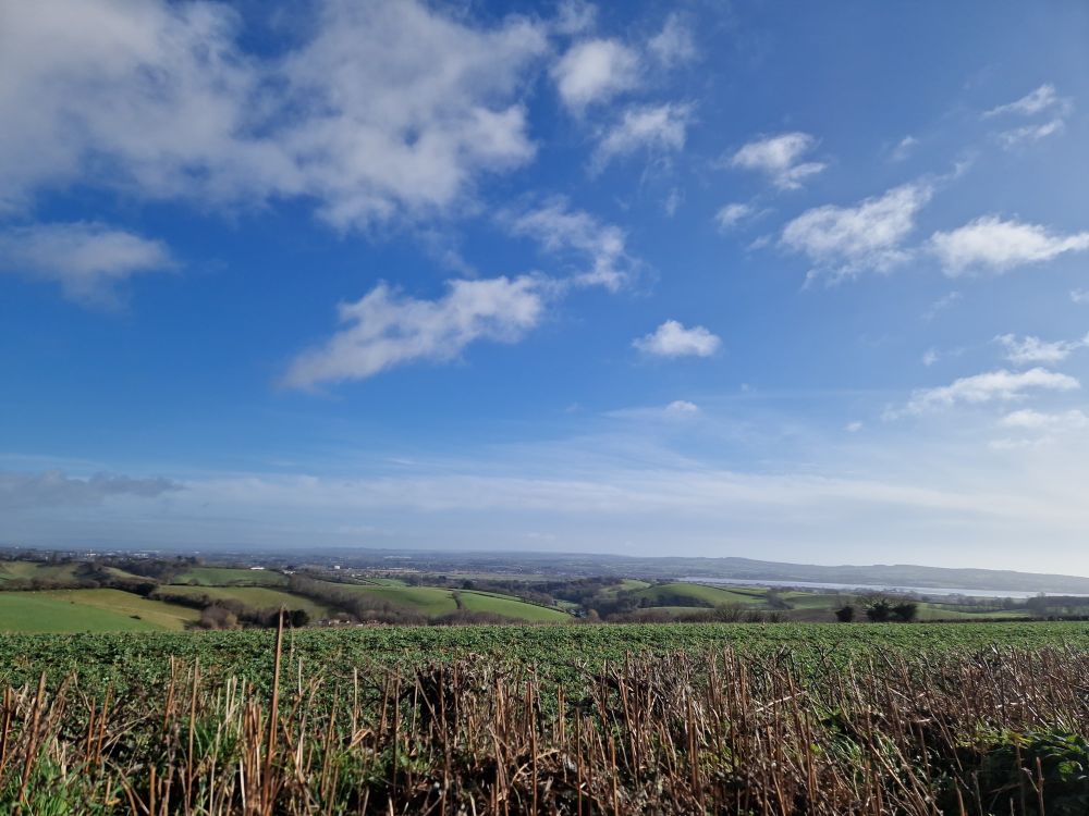 Blue skies,  laced with whispers of white clouds above gently rolling Devon hills in sunshine.  The River Exe can just be seen in the distance.