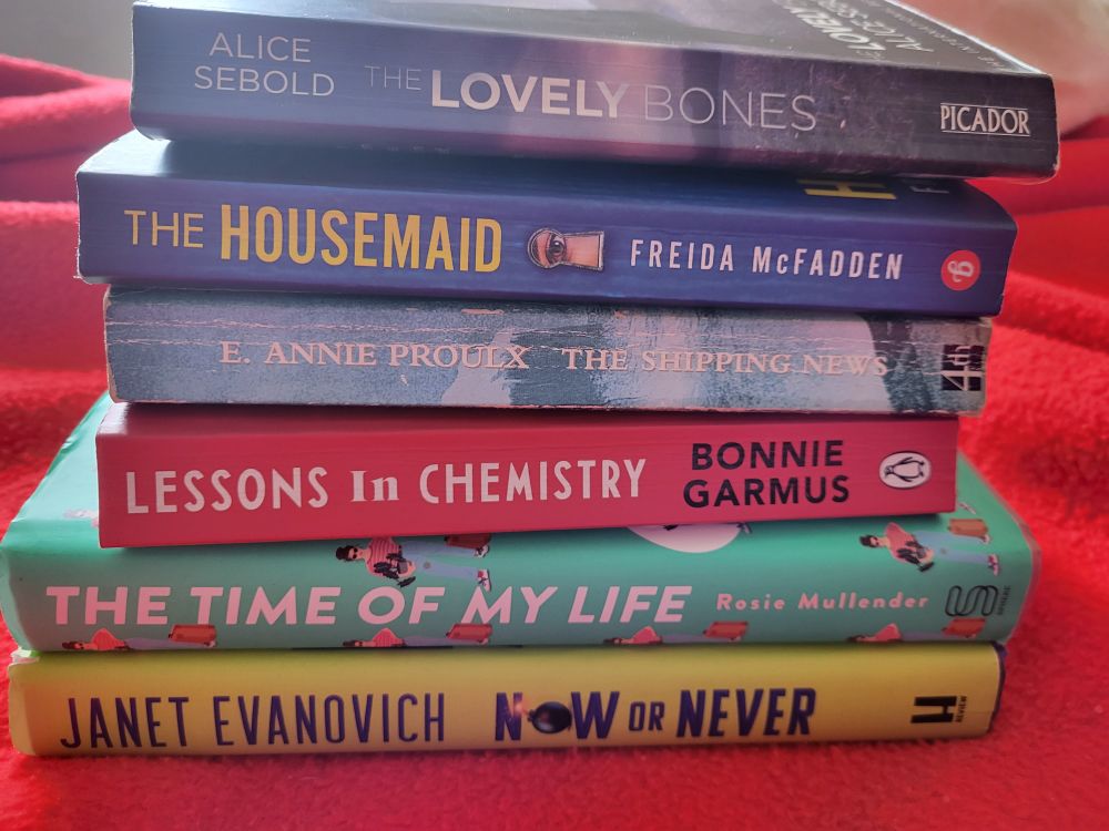 A pile of books including The Lovely Bones, The Housemaid, The Shipping News, Lessons in Chemistry, The Time of My Life, and Now or Never