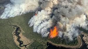 Modern wildfire (BBC)