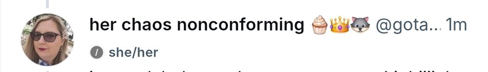 cropped screen shot showing how my she/her pronouns show up under my name/username when replying