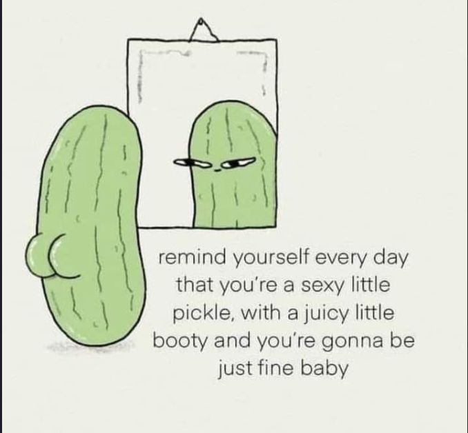 This meme features a cartoon pickle with a curvy backside looking at its reflection in a mirror. The reflection has a confident and slightly smug expression, with narrowed eyes. Below the drawing is a caption that reads:
“Remind yourself every day that you’re a sexy little pickle, with a juicy little booty and you’re gonna be just fine baby.”
The overall vibe is lighthearted, humorous, and self-empowering.