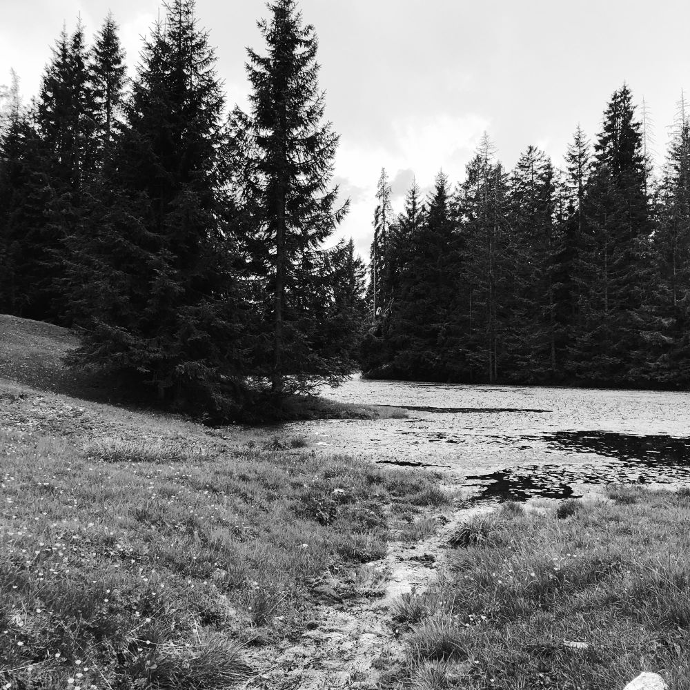 Un ruscello che scende lungo un prato ed entra in un laghetto in montagna