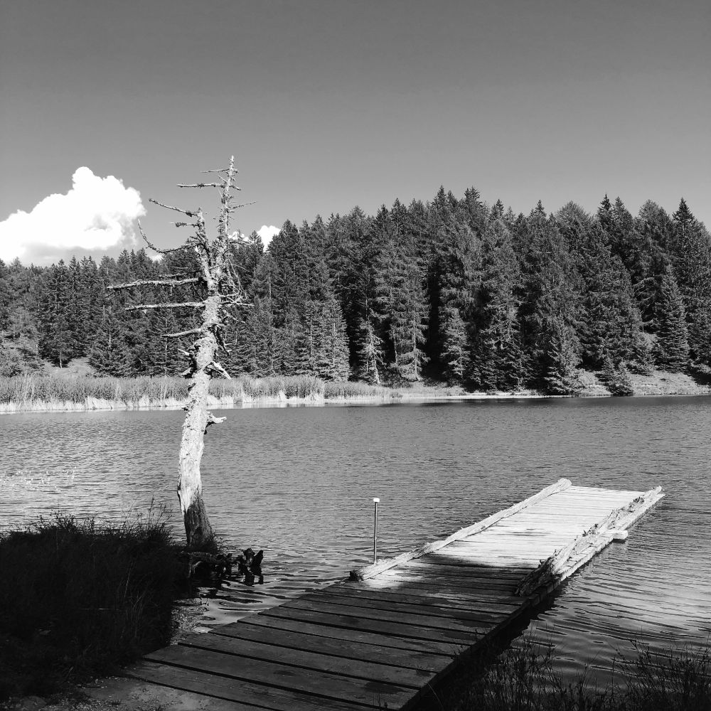 Una piattaforma in legno sopra al lago montano, un albero spoglio alla sua sinistra e abeti in lontananza