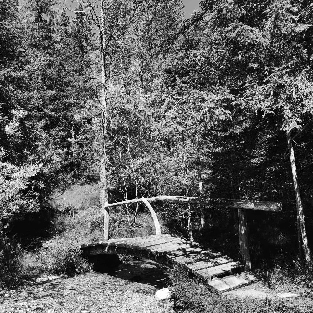 Un ponte in legno sopra ad un ruscello nel bosco
