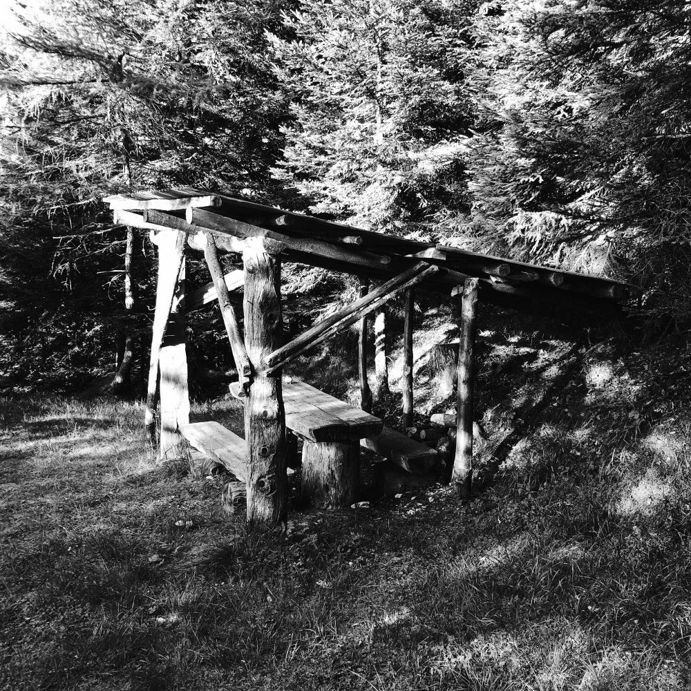 Un riparo nel bosco costruito con tronchi ed un tetto con un tavolo e una panca