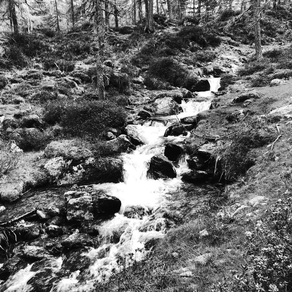 Un ruscello che scende lungo un prato al bordo del sentiero nel bosco