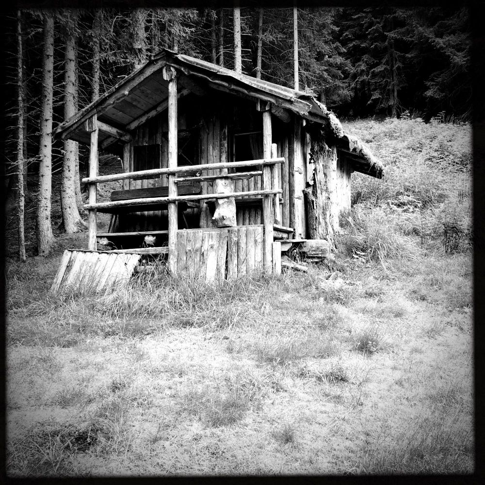 Una solitaria casetta in legno con un terrazzo su di un prato al bordo del bosco