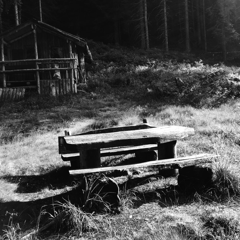 Un prato vicino al bosco con un tavolo e panchine in legno. Poco più sopra una capanna in legno e i tronchi degli alberi