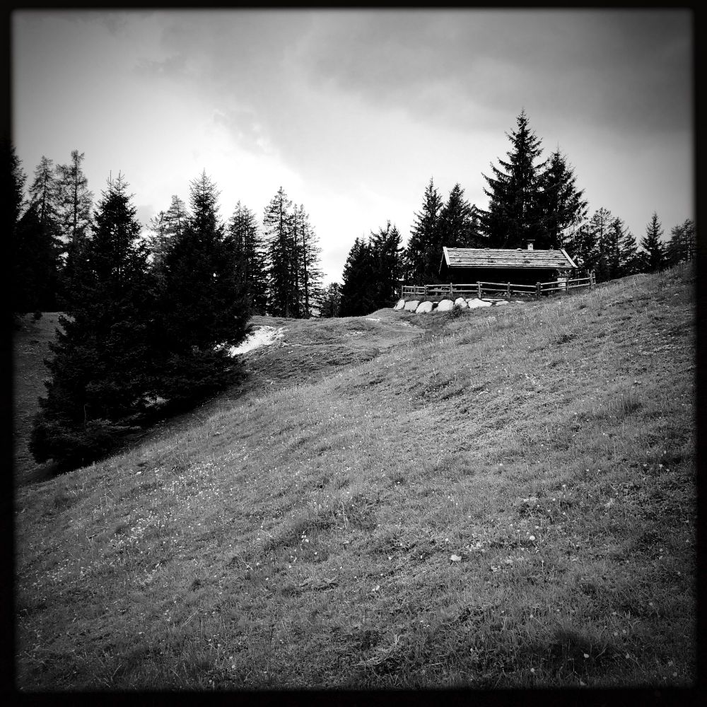 Trees in the distance and a mountain hut at the top of a hill