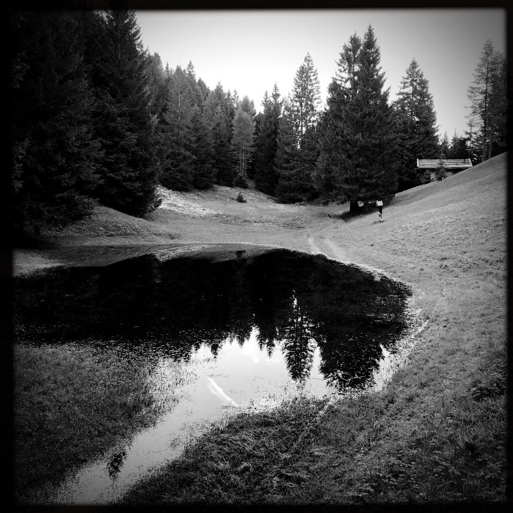 Un sentiero su un prato nel bosco e l'acqua di un grande laghetto. Una piccola casetta e alberi sullo sfondo