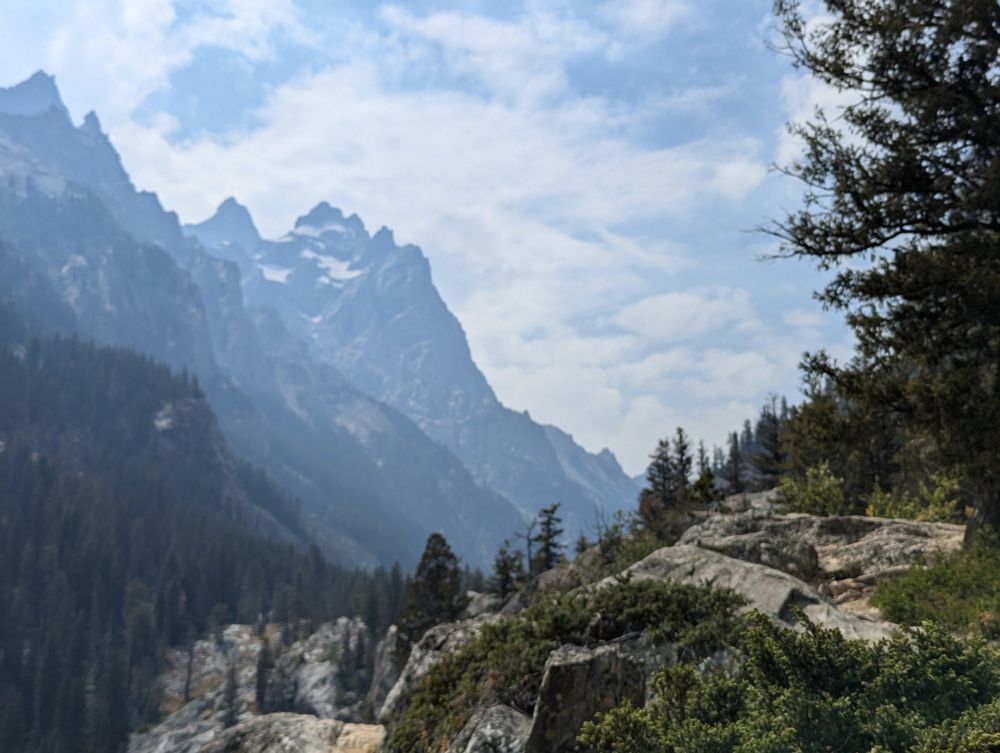 Photo of a foreground with rocks covered in vegetation and shrubs and a background of snow capped mountains.