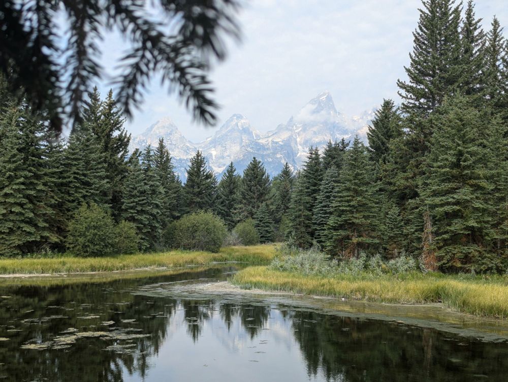 Photo of a calm body of water with pine trees and mountains in the background and the mountains reflecting off of the water