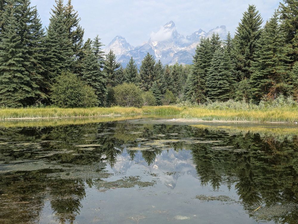 Photo of a calm body of water with pine trees and mountains in the background and the mountains reflecting off of the water