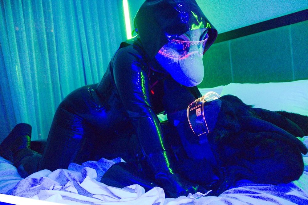 Photo of fursuiters in latex