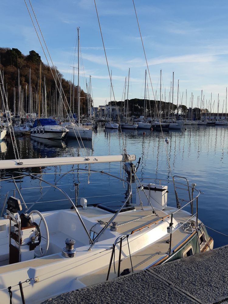 Jadrnice v pristanišču na sončen zimski popoldan.