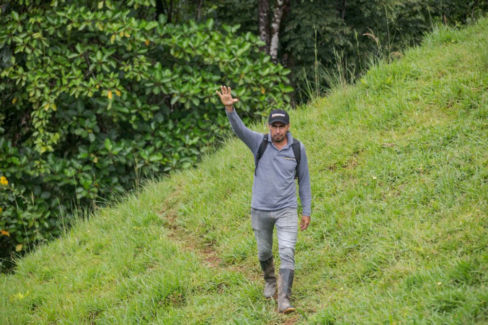 Lead farmers and trainers promote the power of low-carbon agriculture in Colombia - Solidaridad Network