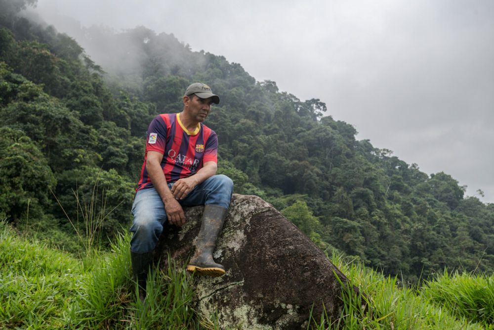 A life change for small-scale farmers in Caquetá: A visit with coffee farmer Daniel Cuellar - Solidaridad Network