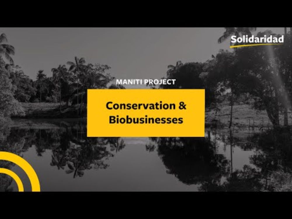 Manití Project: Protecting a threatened habitat in Peru