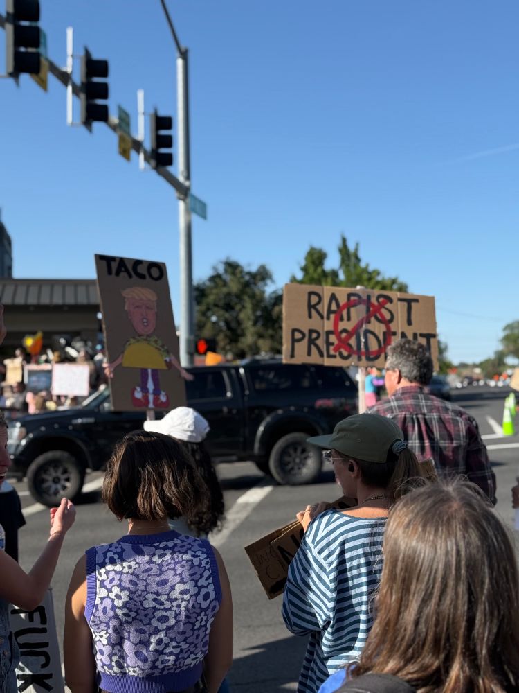 Sign that says “taco” with an illustration of Trump as a taco. Another sign with a no symbol over “rapist president”