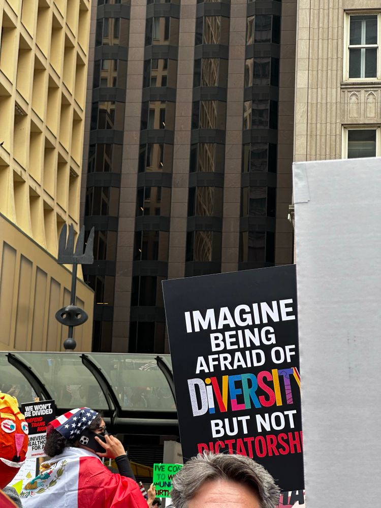 Poster at protest that says “imagine being afraid of diversity but not dictatorships” 