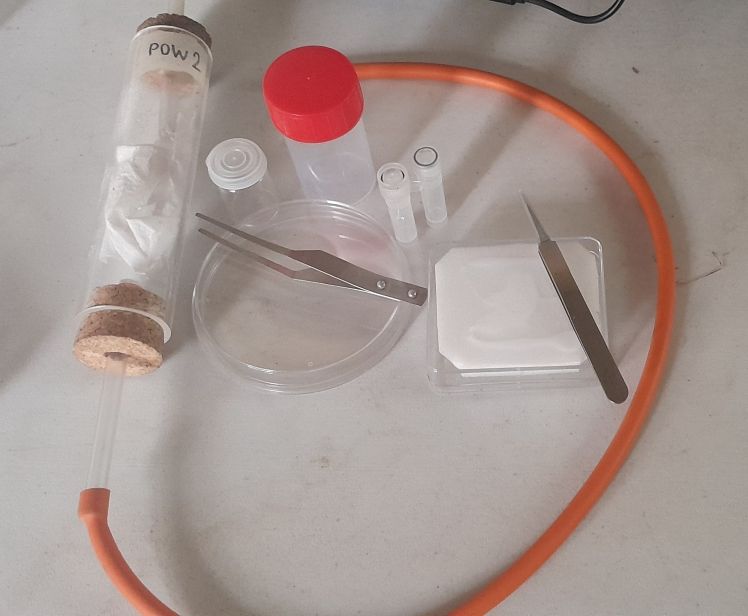 Mini collection and sampling kit for Op Wallacea volunteers, Pooter, tweezers, collection pots and pinning tray