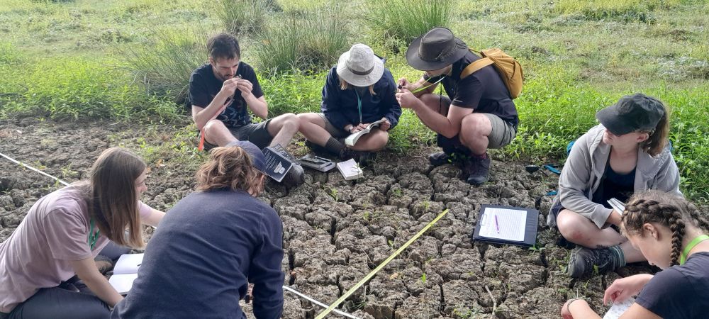 A group of ecologists working on habitat classification by Identifying plants