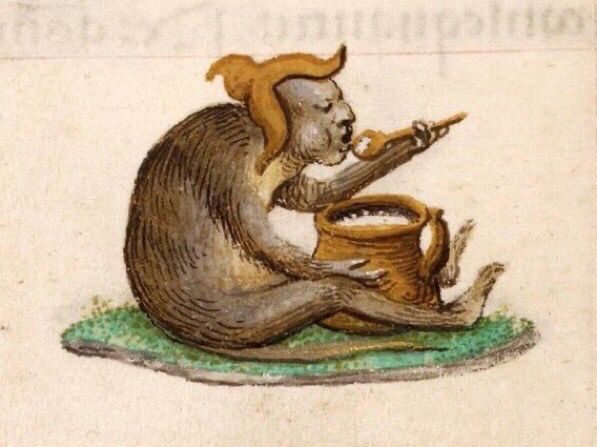 A medieval drawing of a brown, hairy, humanoid creature with a long tail seated on a patch of grass, eating some sort of white substance with a spoon from a pot between its legs