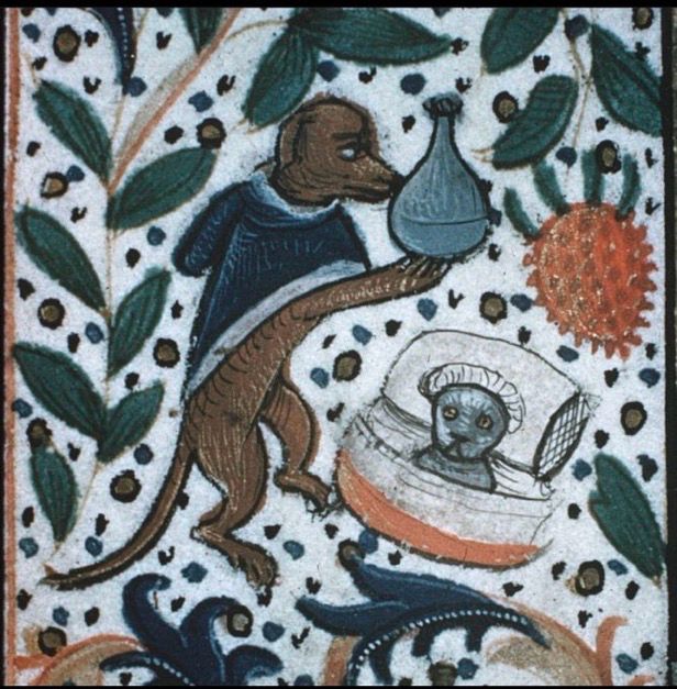 a medieval drawing of a dog standing upright wearing a hood and holding a bottle. beside him is a cat laying in bed wearing what looks like a nightcap. both have distraught expressions on their faces.