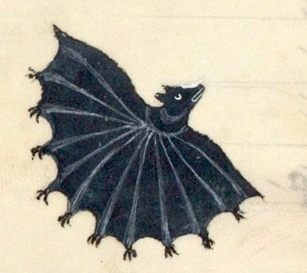 a medieval drawing of an umbrella-like bat with many arms